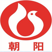 濕式電動(dòng)機(jī)大型潛水泵